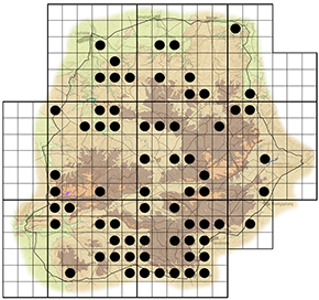 Euclea undulata Waterberg distribution